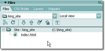 Files panel with new file