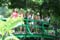 giverny