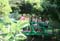 giverny_bridge_001_cropped